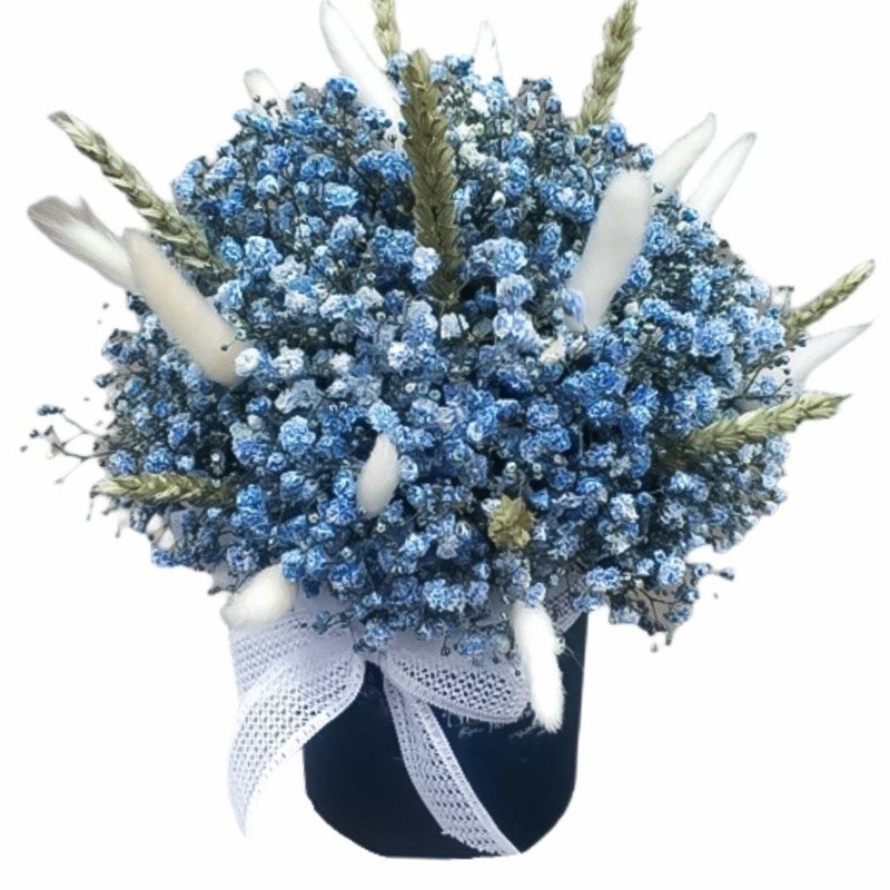 Cute Blue Gypsophila in a Box