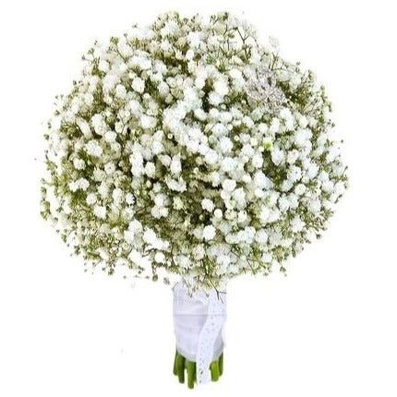 White Gypsophila Bridal Bouquet