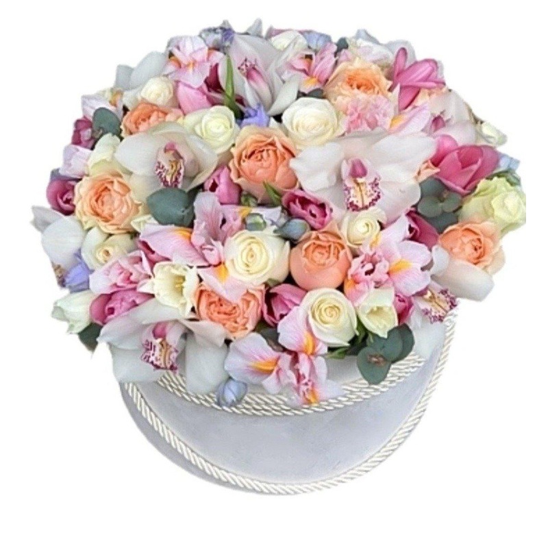 Colourful Luxury Box