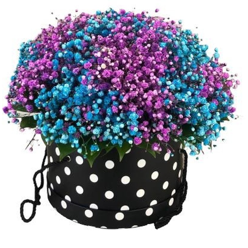 Blue and Purple Baby's Breath Box