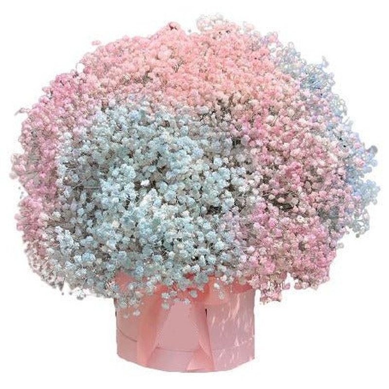 Pastel Pink and Blue Baby's Breath Box