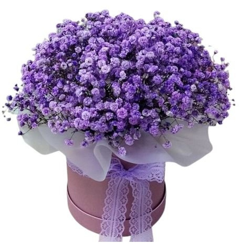 Purple Gypsophila Box