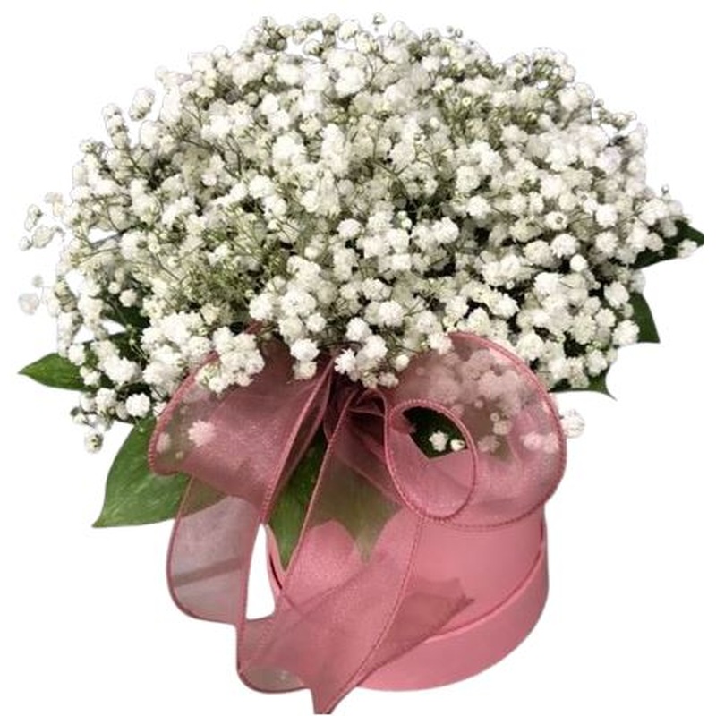 White Gypsophila Box