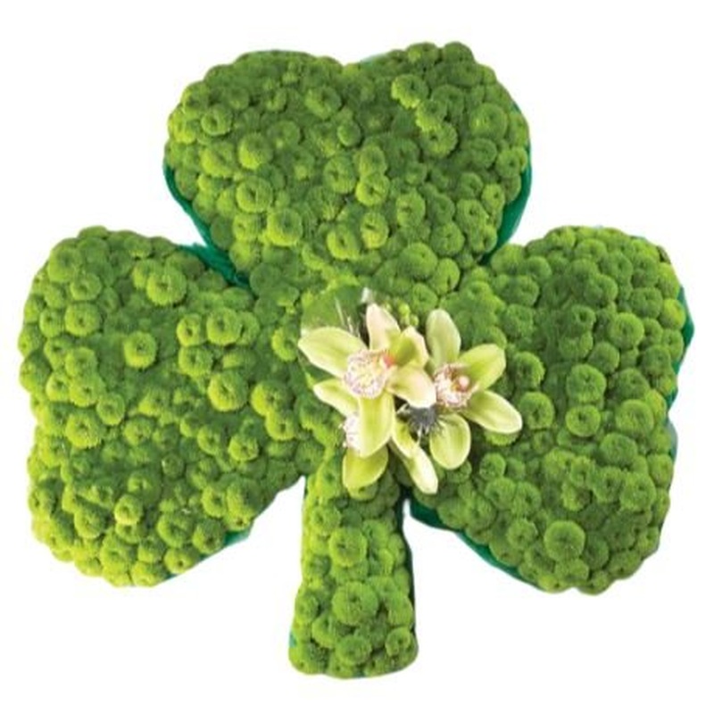 Green Shamrock Tribute