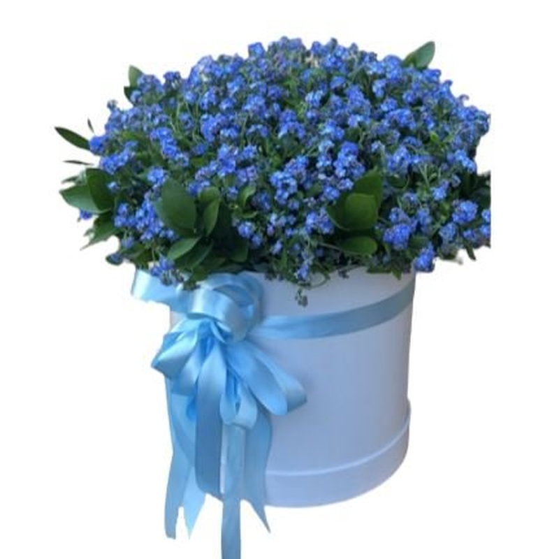 Forgot me Not Flowers in Box