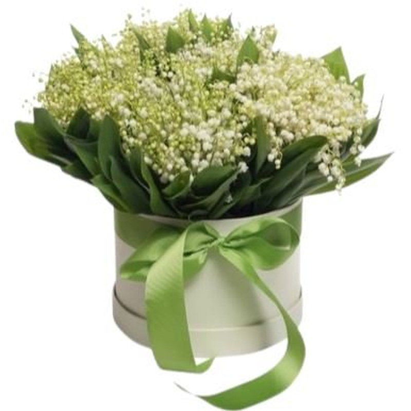 Lily of Valley in Box