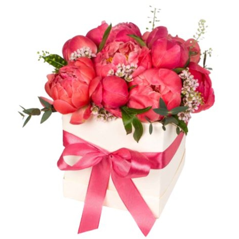 Beautiful Peonies Box