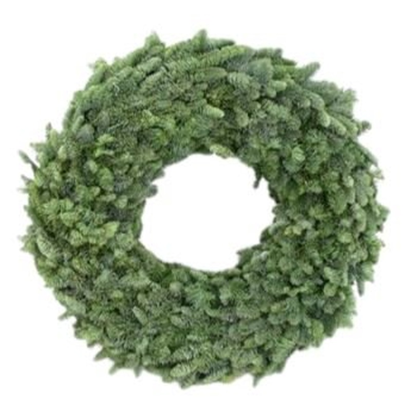 Plain Fresh Spruce Wreath