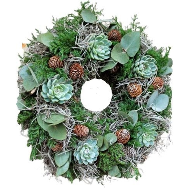 Succulent Holiday Door Wreath