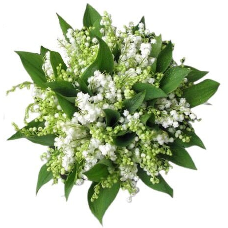 Lily of the valley wedding boquet + 4x lily of the valley buttonholes