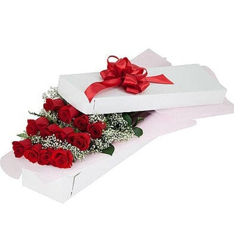 Dozen Red Roses with Gypsophila Gift Box