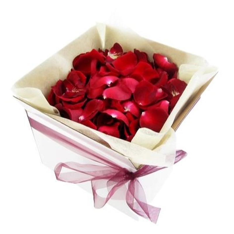 Rose Petals in a Square Box