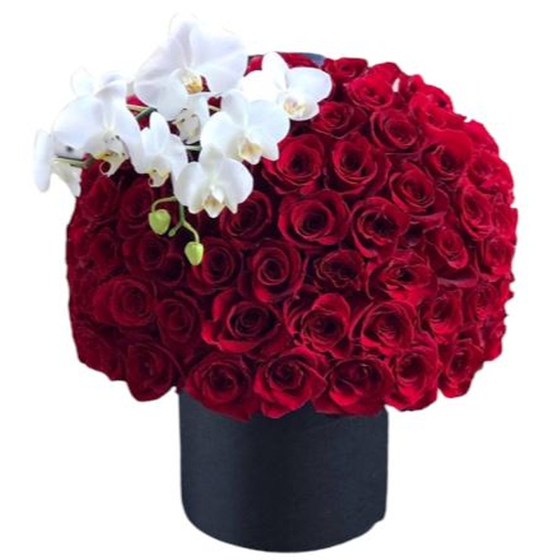 Roses and Phalaenopsis Luxury Box