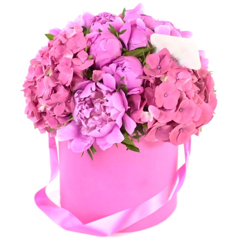 Pink Island Flower Box