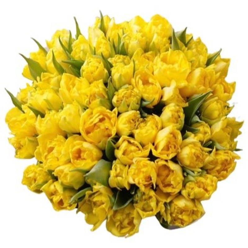 Yellow Double Tulips Bouquet