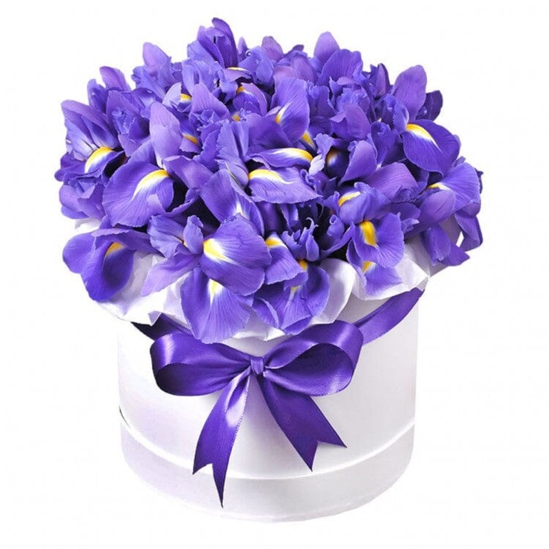Iris Flowers in a Box