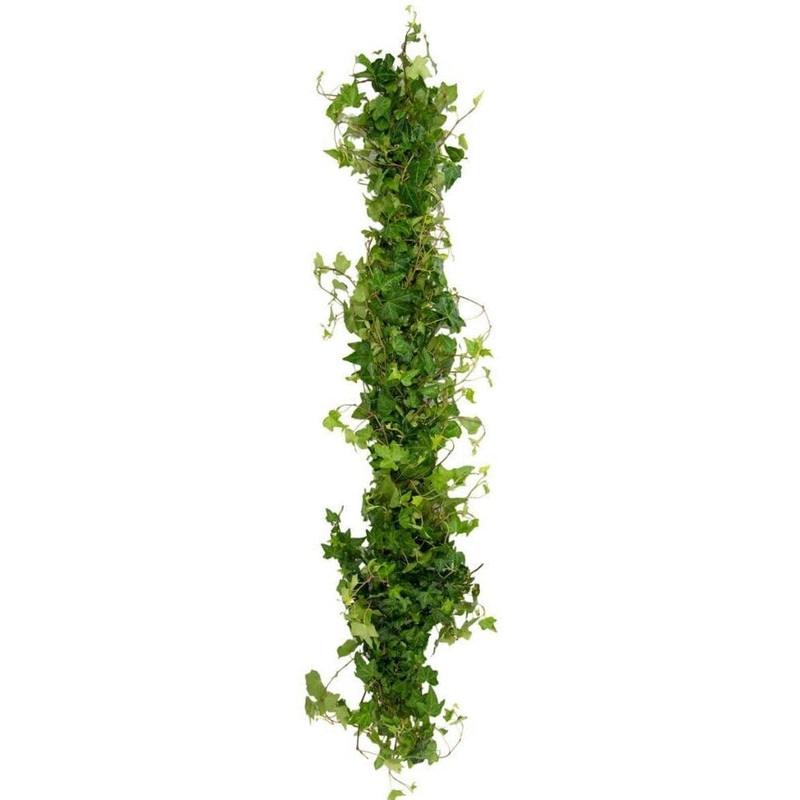 Green Hedera Fresh Event Garland