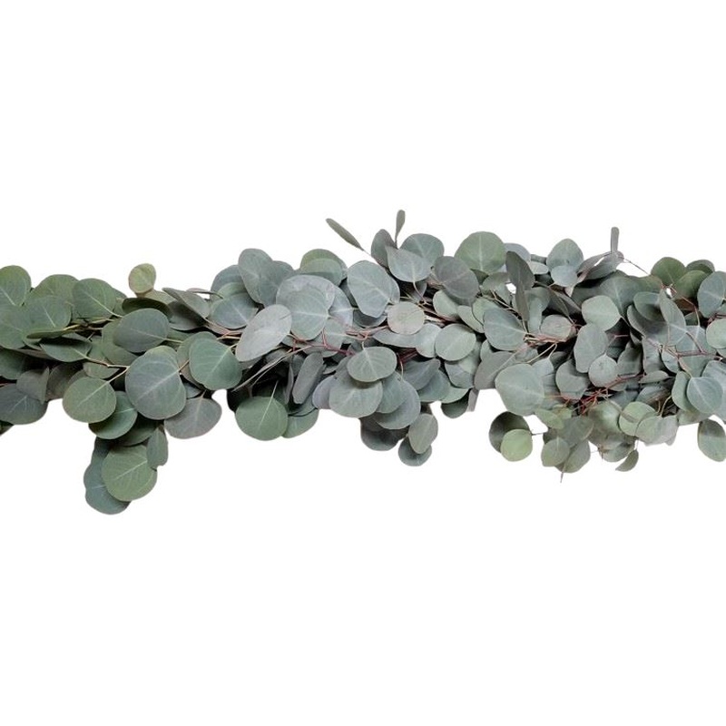 Natural Silver Garland of Populus