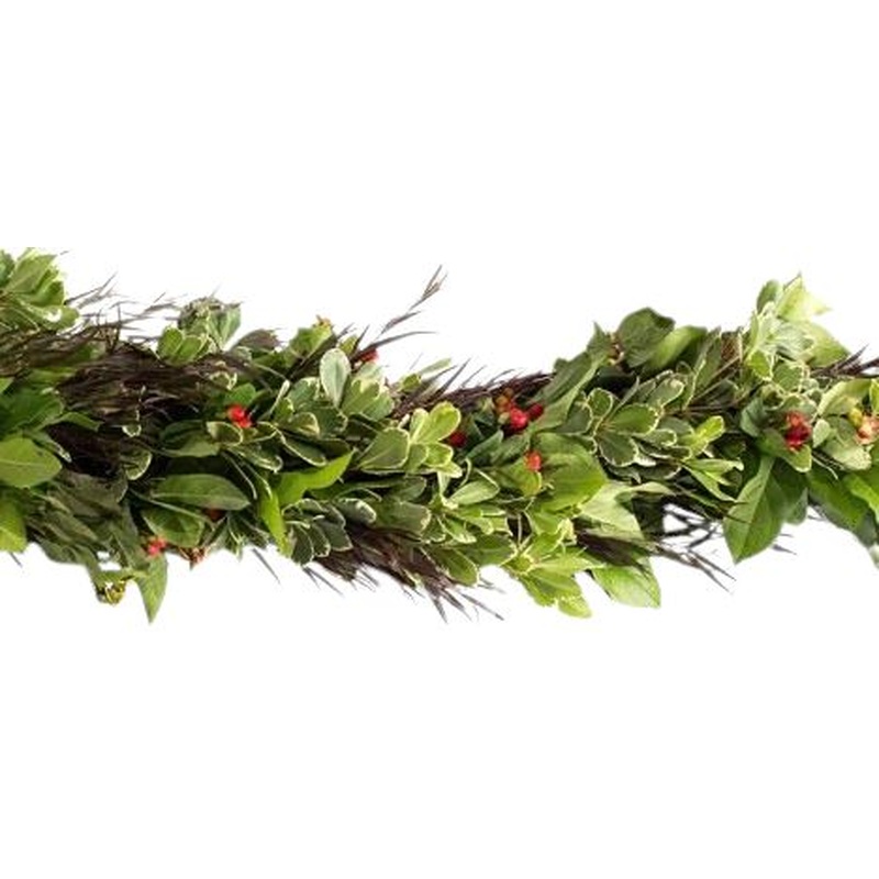 Fresh Mixed Foliage Garland with Red Berry