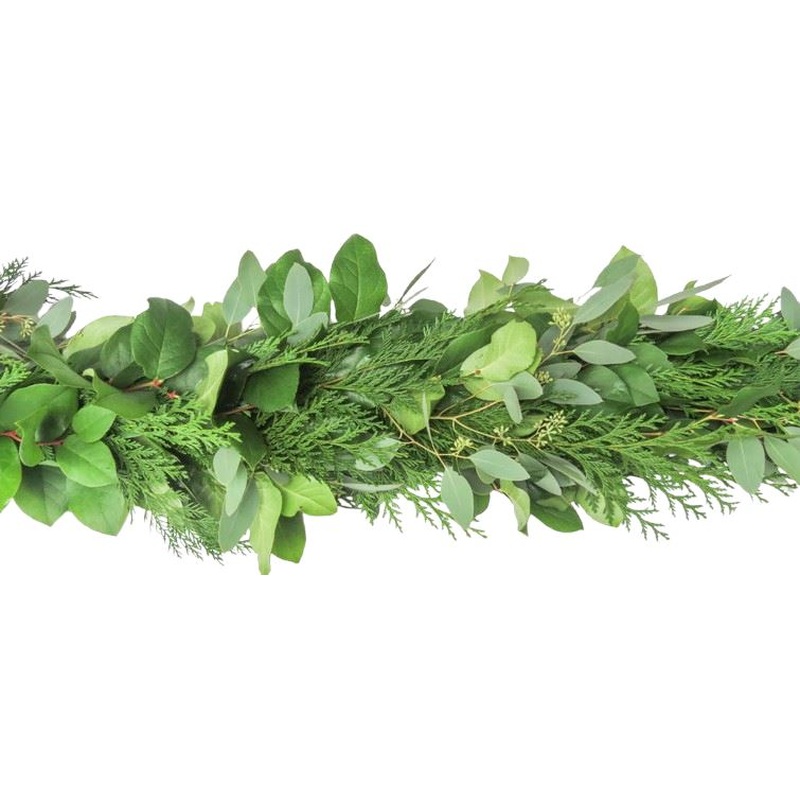 Fresh Plain Garland of Conifer and Populus Berry