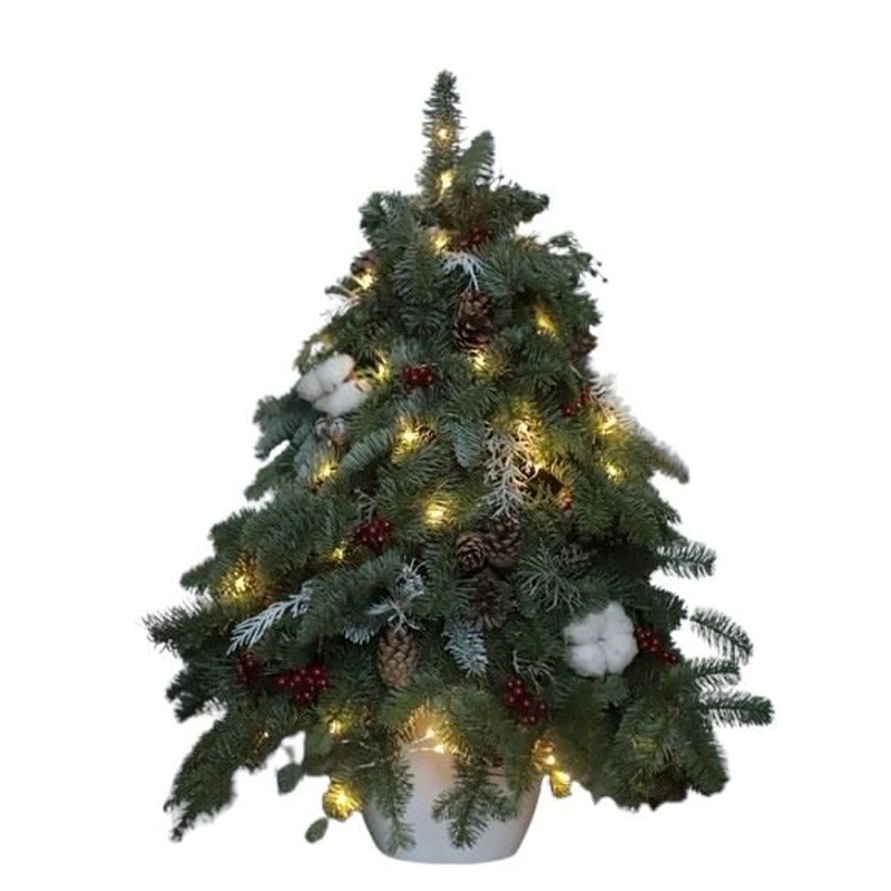 Rustic Tree Arrangement: Adorned with Christmas Lights and Cones