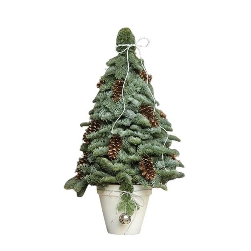 Silver Spruce Christmas Tree Arrangement: Adored with Natural Cones