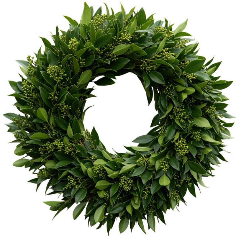 Green Skimmia Door Wreath