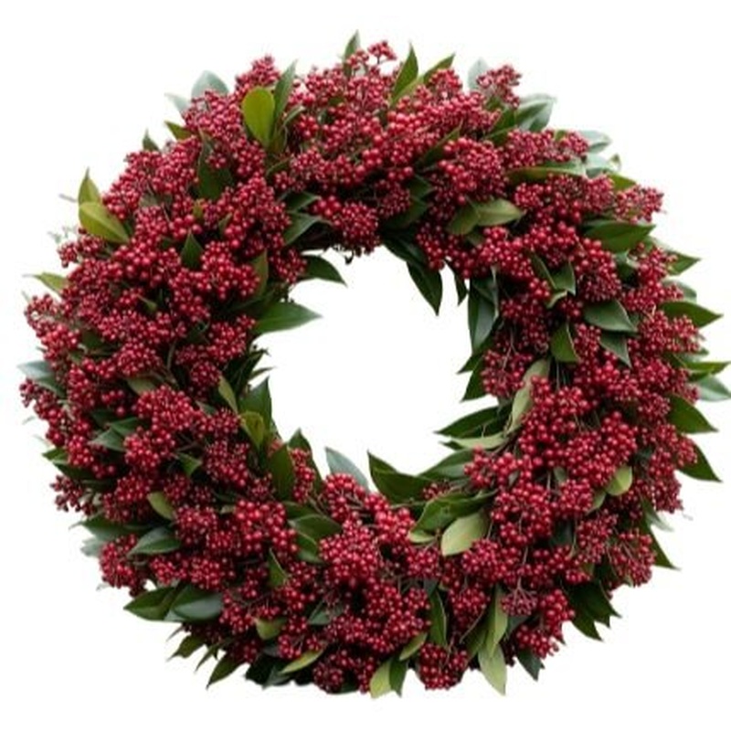 Red Skimmia Holiday Wreath