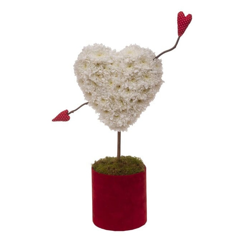 Cupid's Arrow Heart in Box