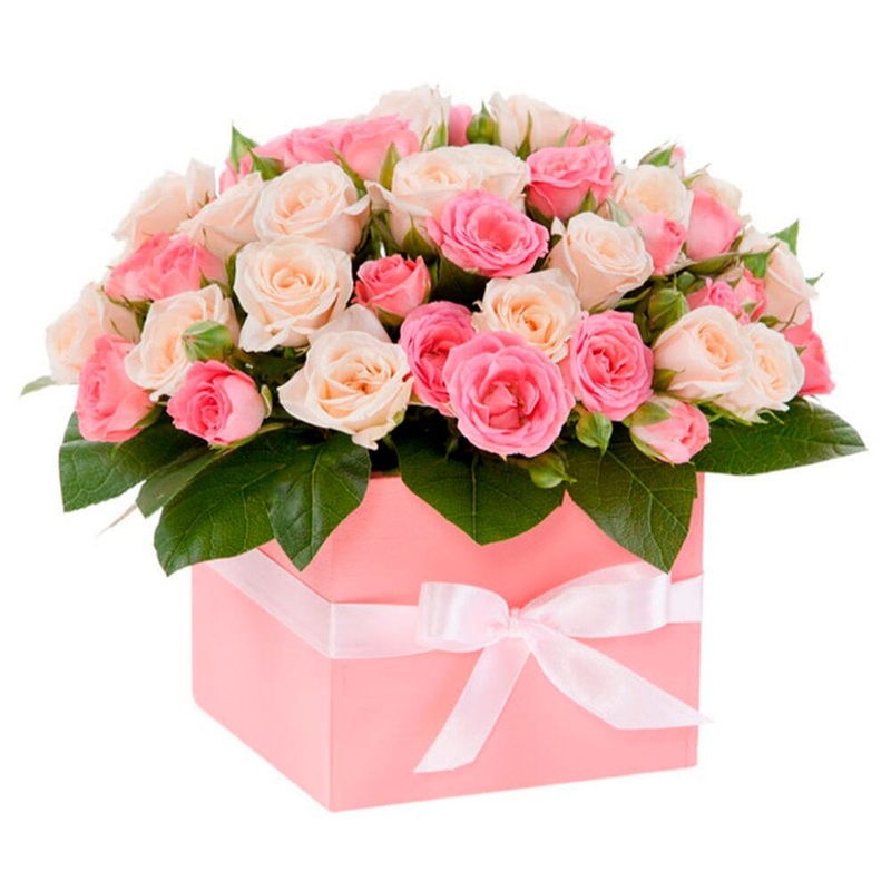 Cute Spray Roses Signature Box