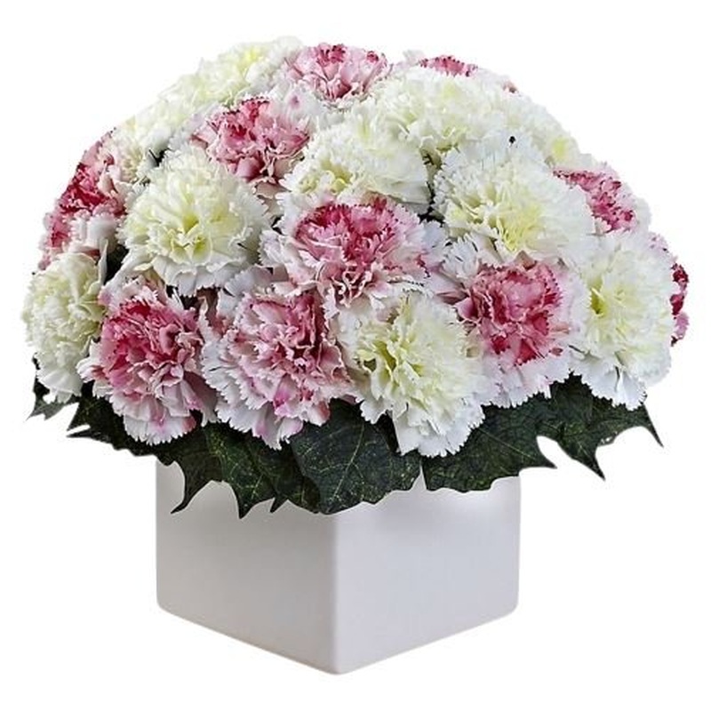 Lovely Box of Carnations