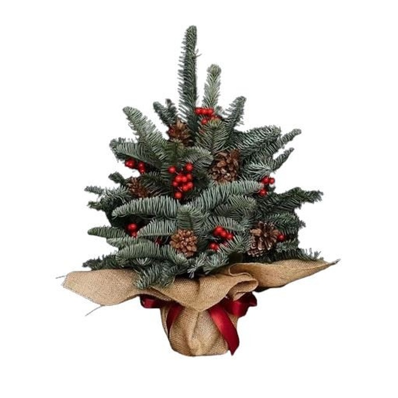 Jute Wrapped Blue Spruce Christmas Tree with Red Berries and Cones