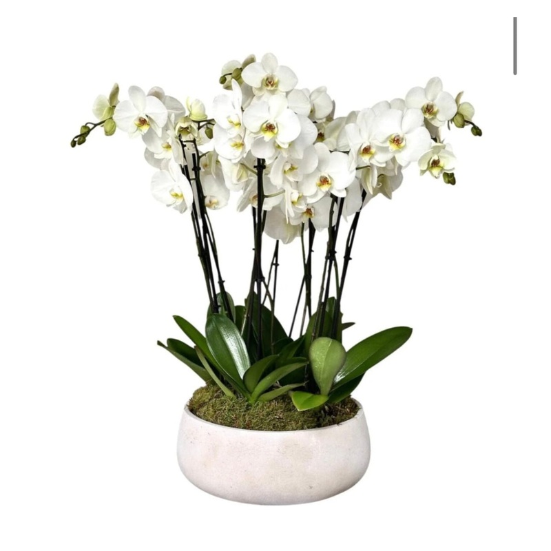 33874 - price amended / change product