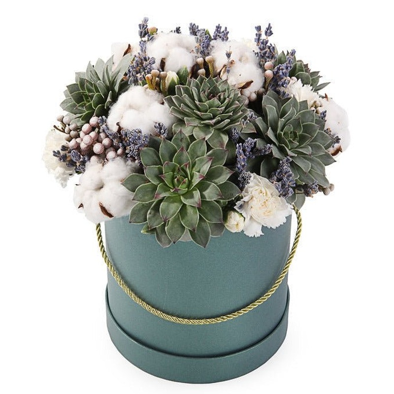Succulent Snowfield Box Arrangement